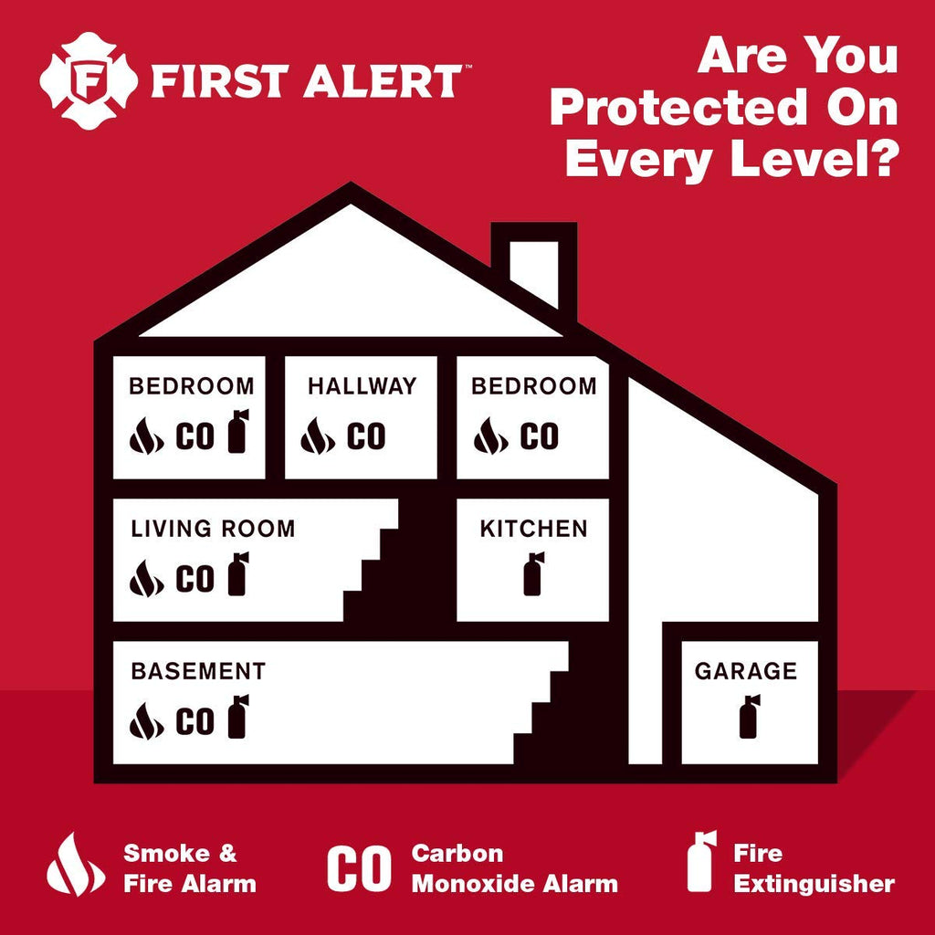 Carbon Monoxide Detector with Battery Backup E9135