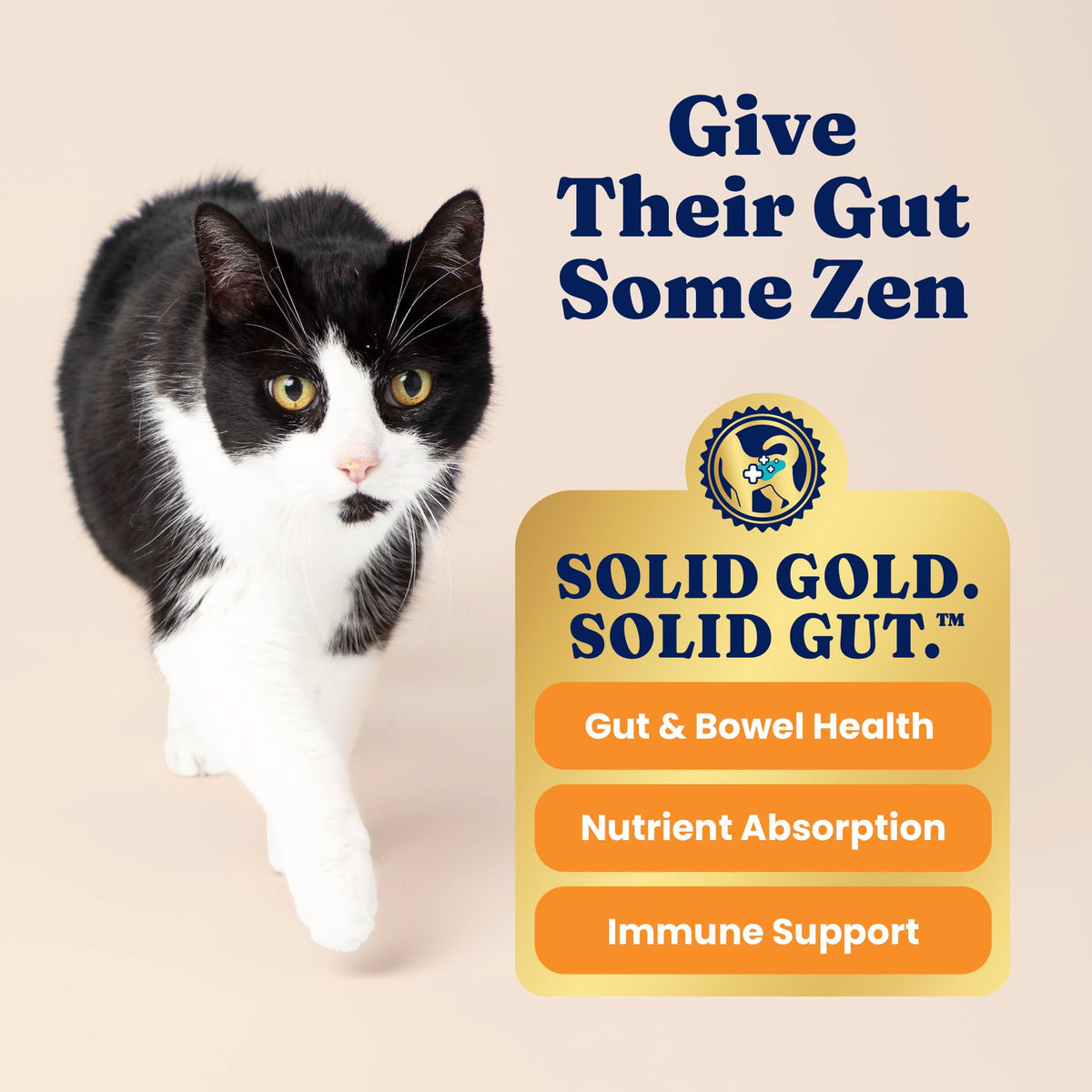 Solid Gold Indoor Chicken Dry Cat Food High Fiber, Adult & Senior Cats 12LB Z49820
