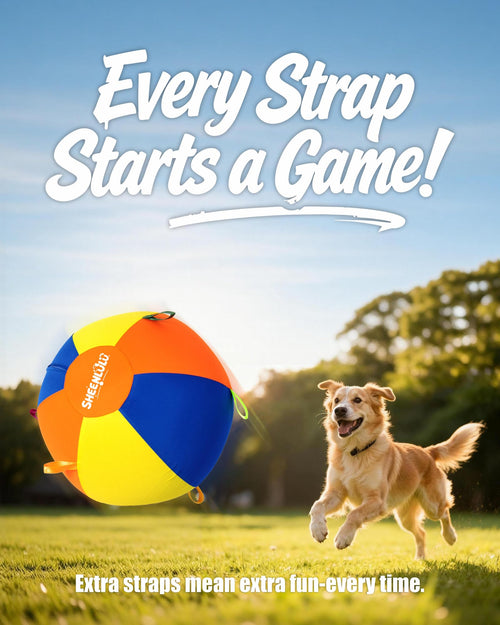 22" Dog Herding Ball with Straps B276205