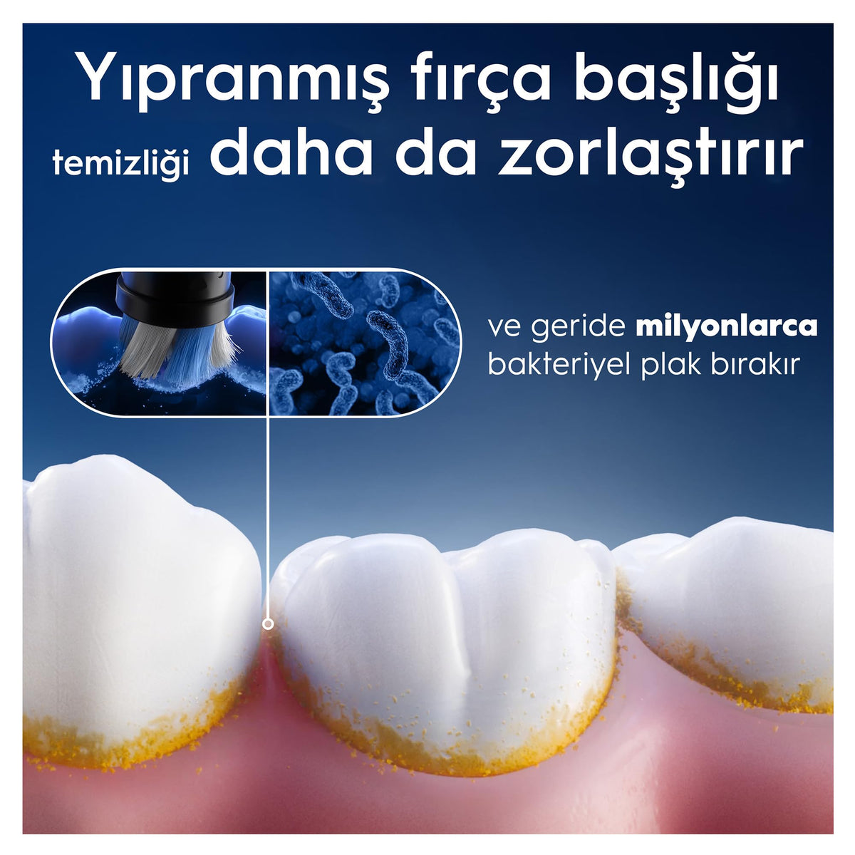 Black Replacement Toothbrush Heads W365459
