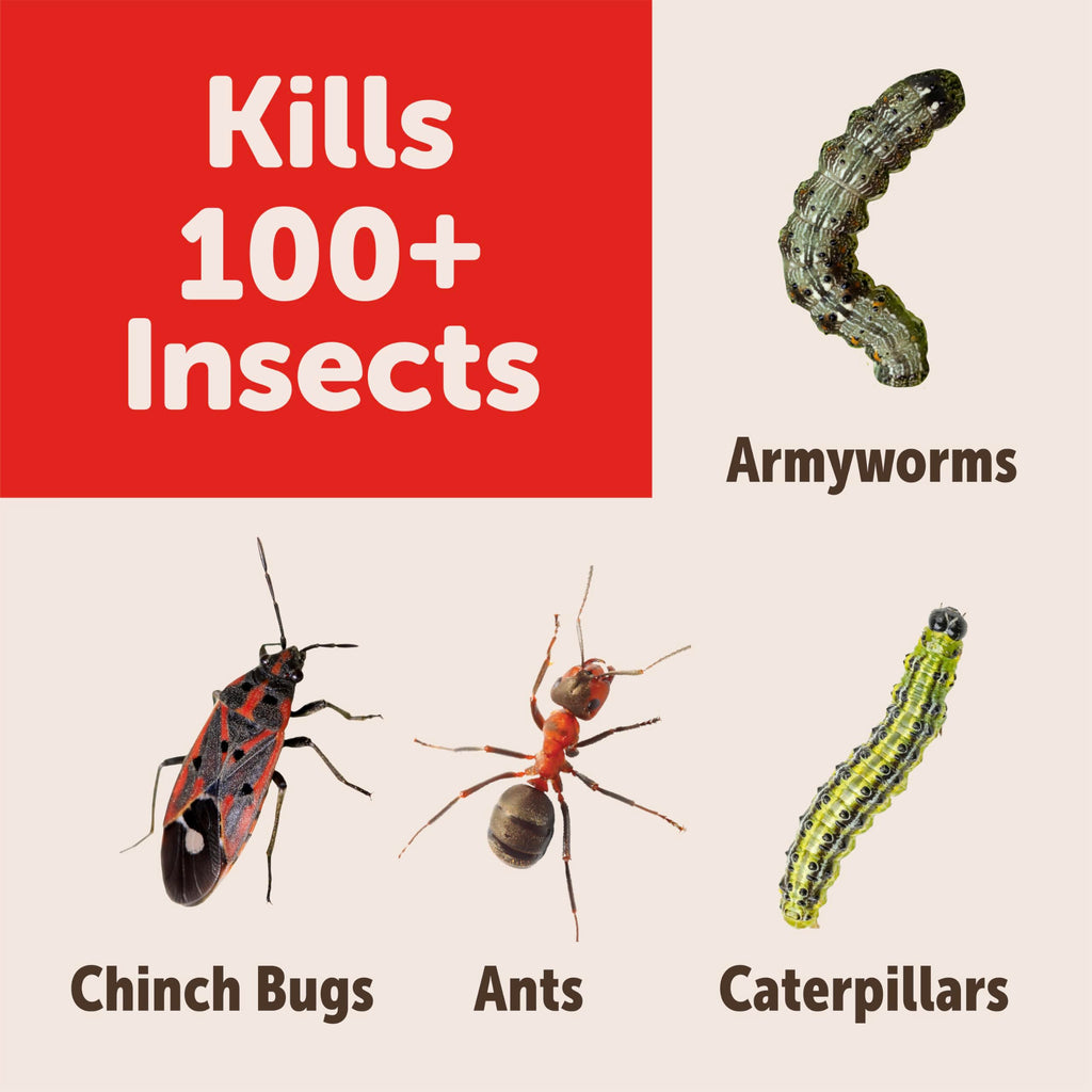 Garden Insect Killer Granules Q563288