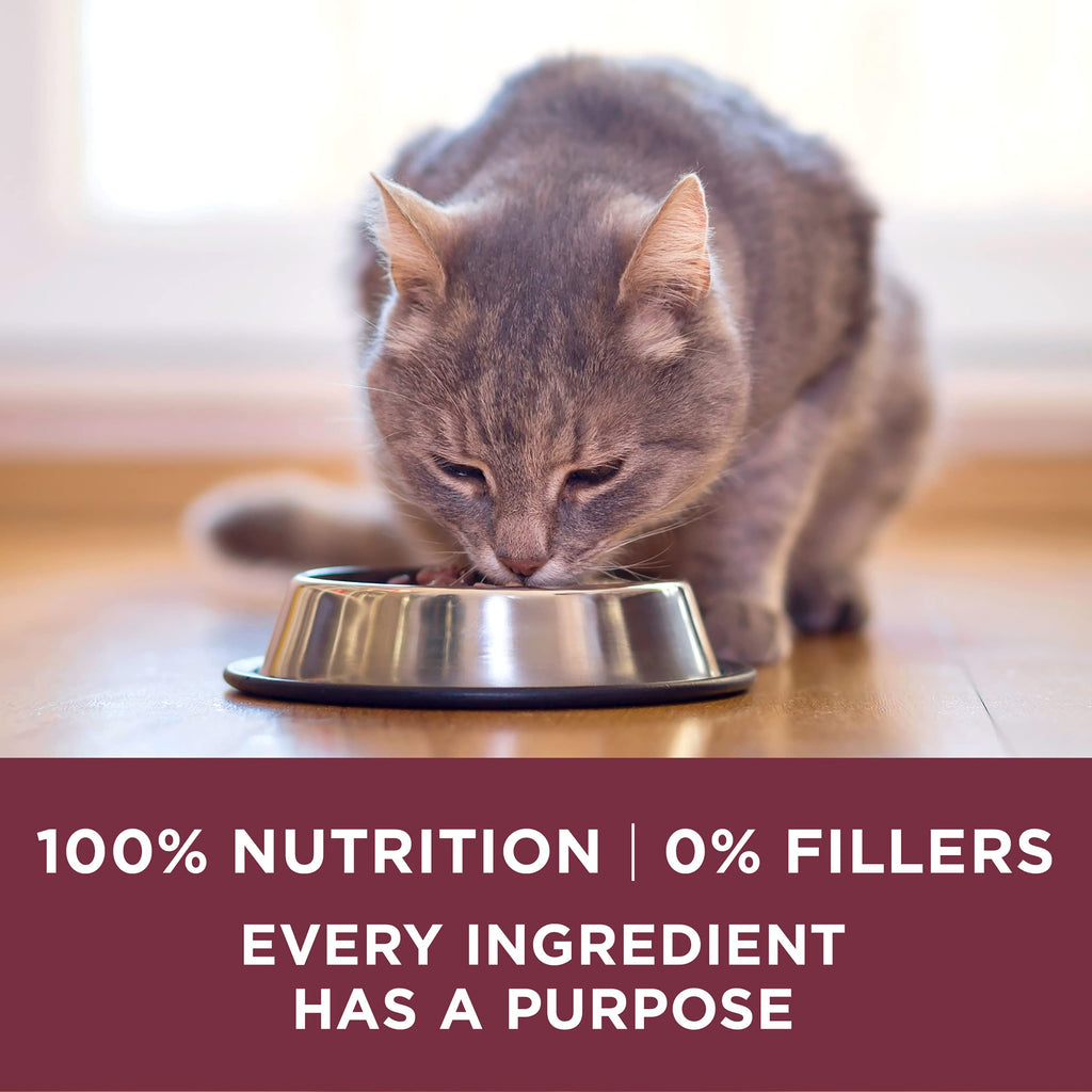 High Protein Urinary Tract Health Dry Cat Food 16 lb Bag F534