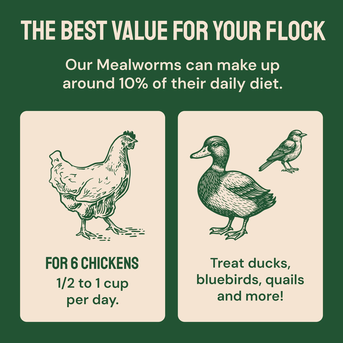 20lb Dried Mealworms Chicken Feed T886431