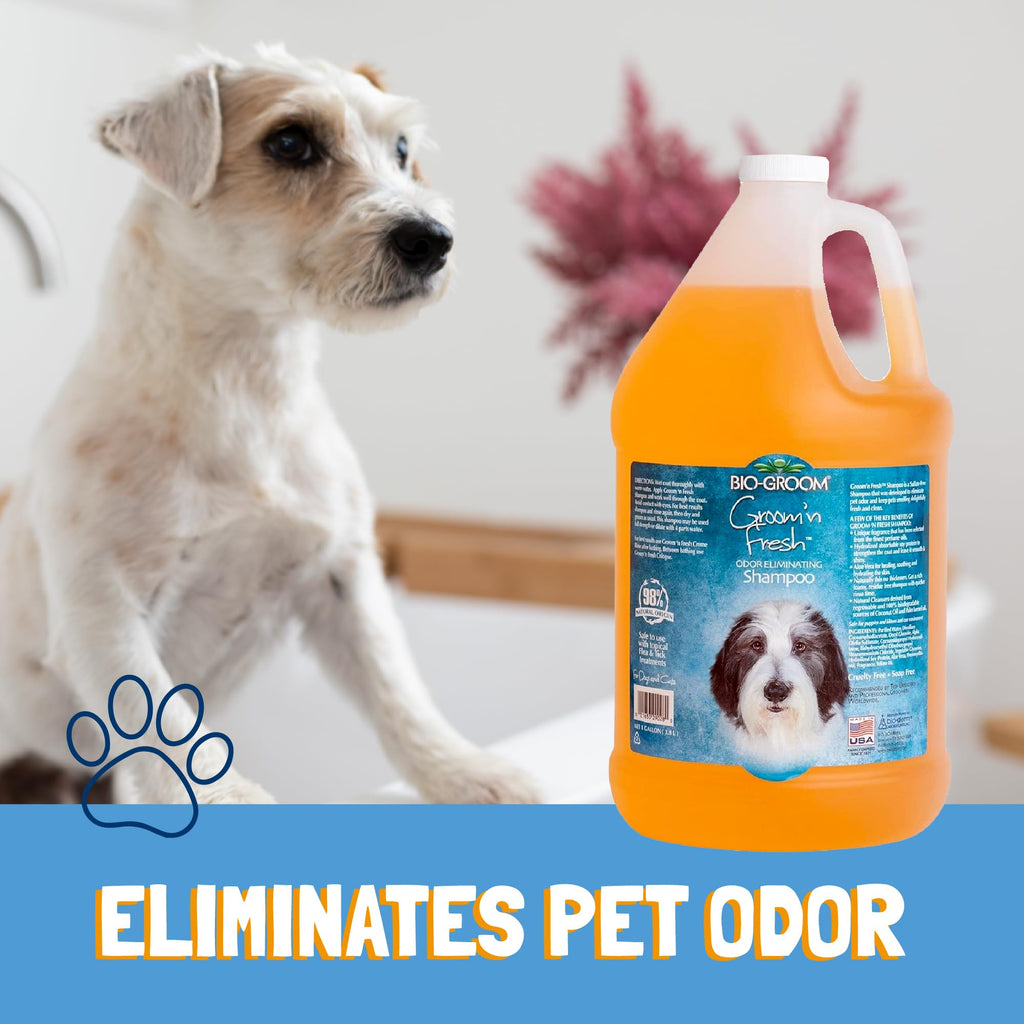 Dog Shampoo 1 Gallon T68921
