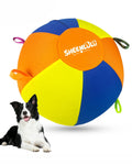 22" Dog Herding Ball with Straps B276205