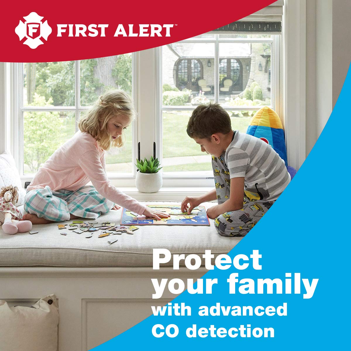 Carbon Monoxide Detector with Battery Backup E9135