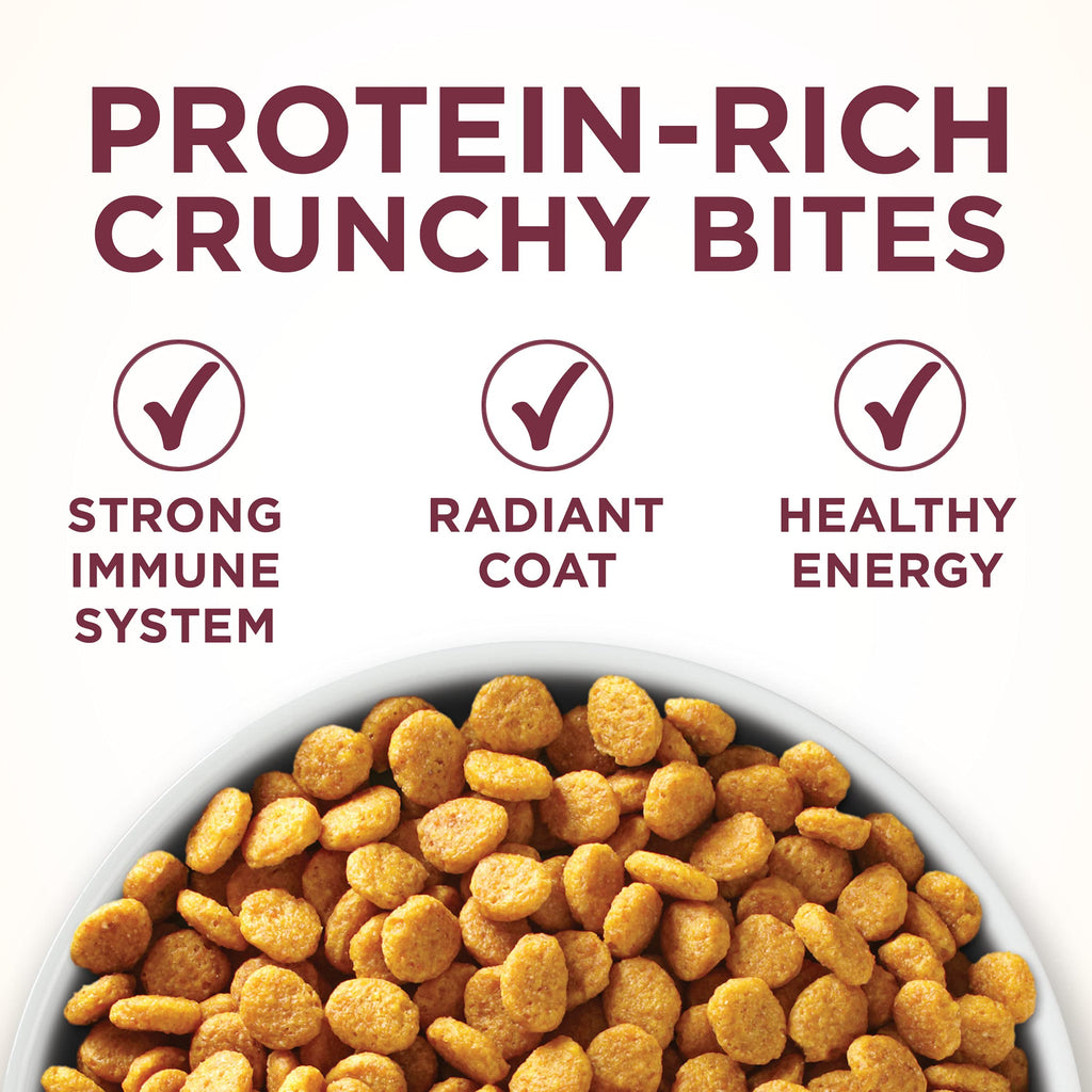High Protein Urinary Tract Health Dry Cat Food 16 lb Bag F534