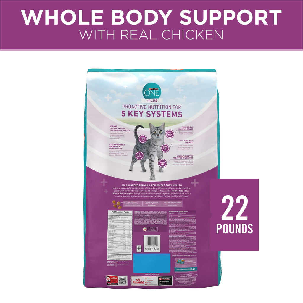 Dry Cat Food 22 lb. Bag Y4152