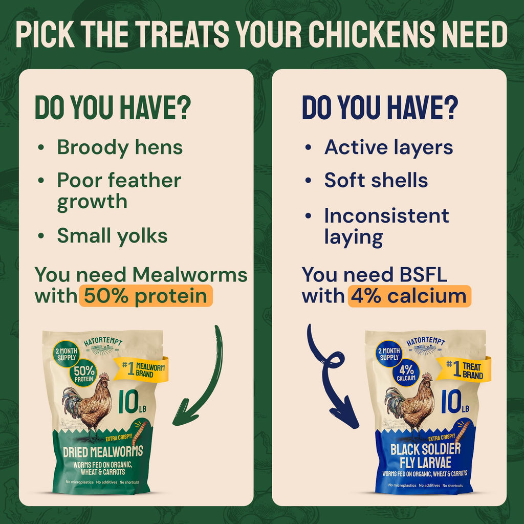 20lb Dried Mealworms Chicken Feed T886431