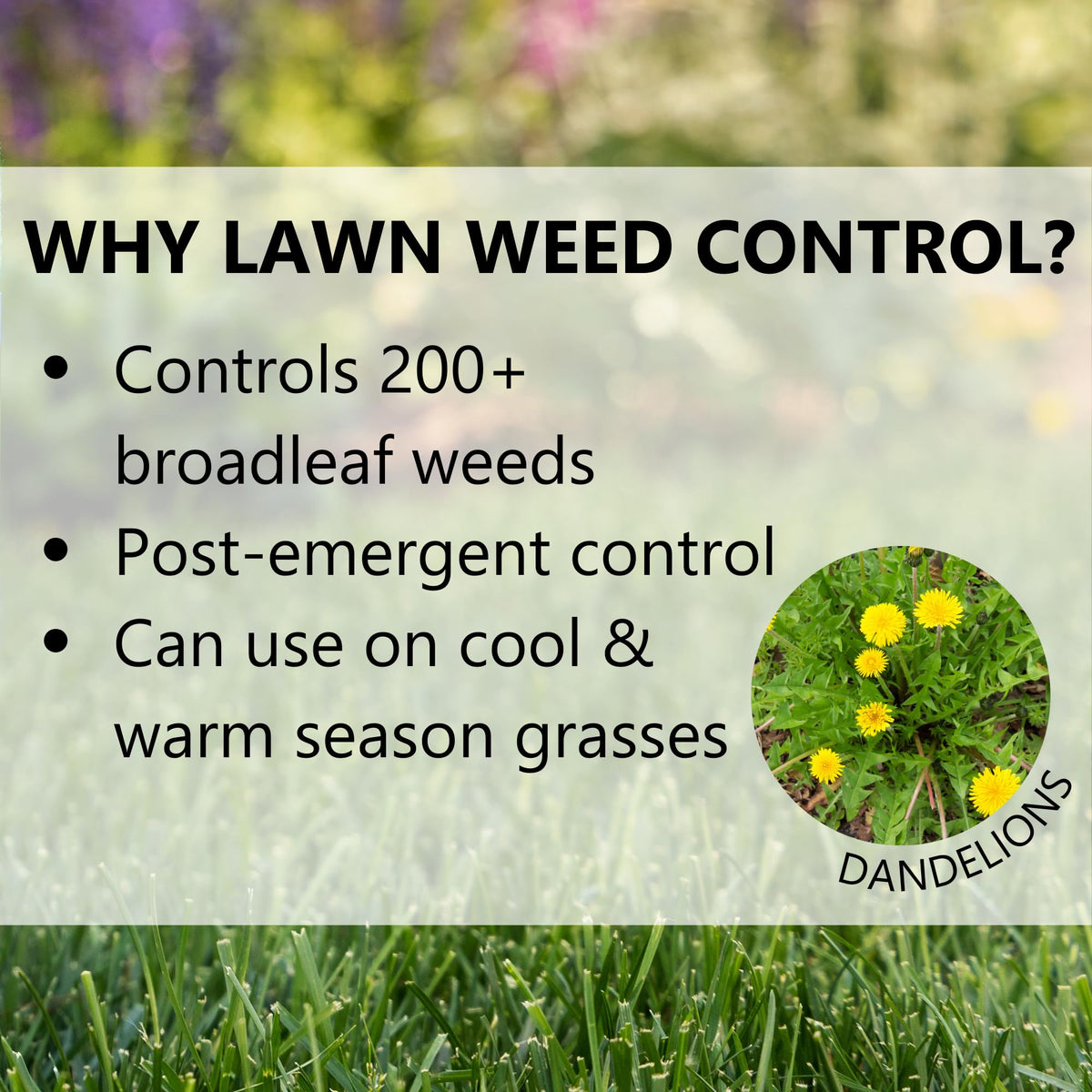 Post Emergent Weed Killer 15,000 Sq Ft S50204