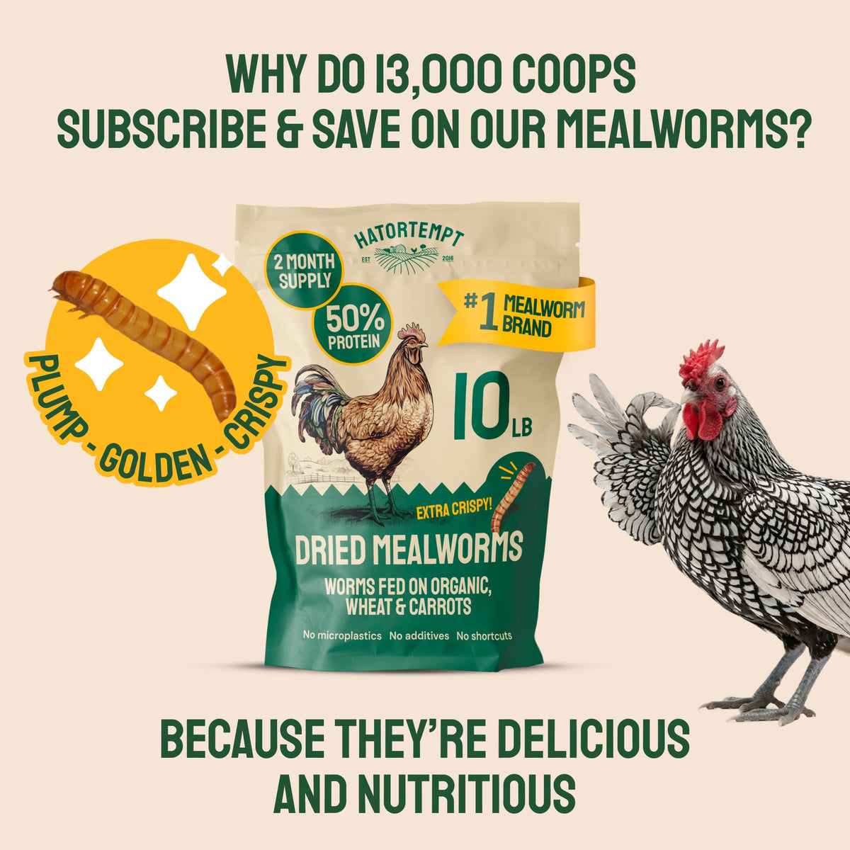 20lb Dried Mealworms Chicken Feed T886431