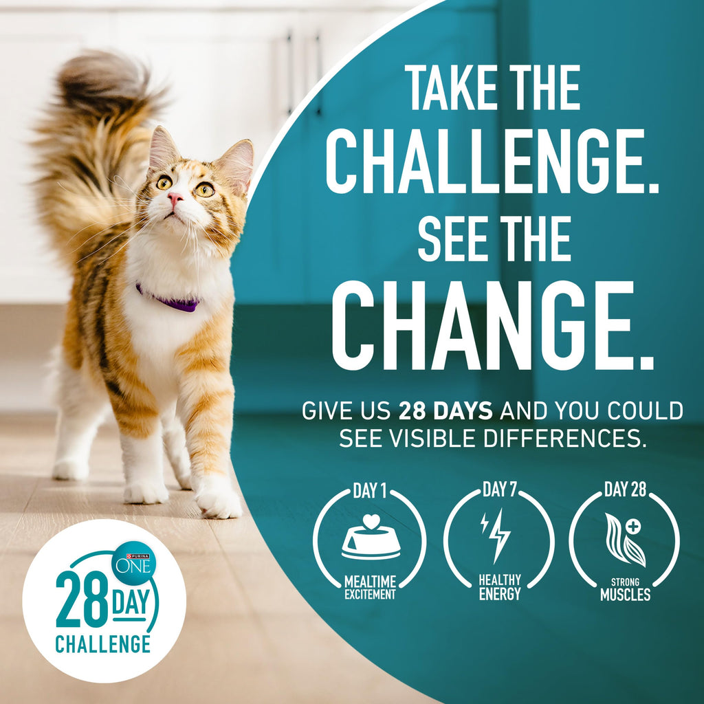 High Protein Dry Cat Food, 7 lb Bag W81387