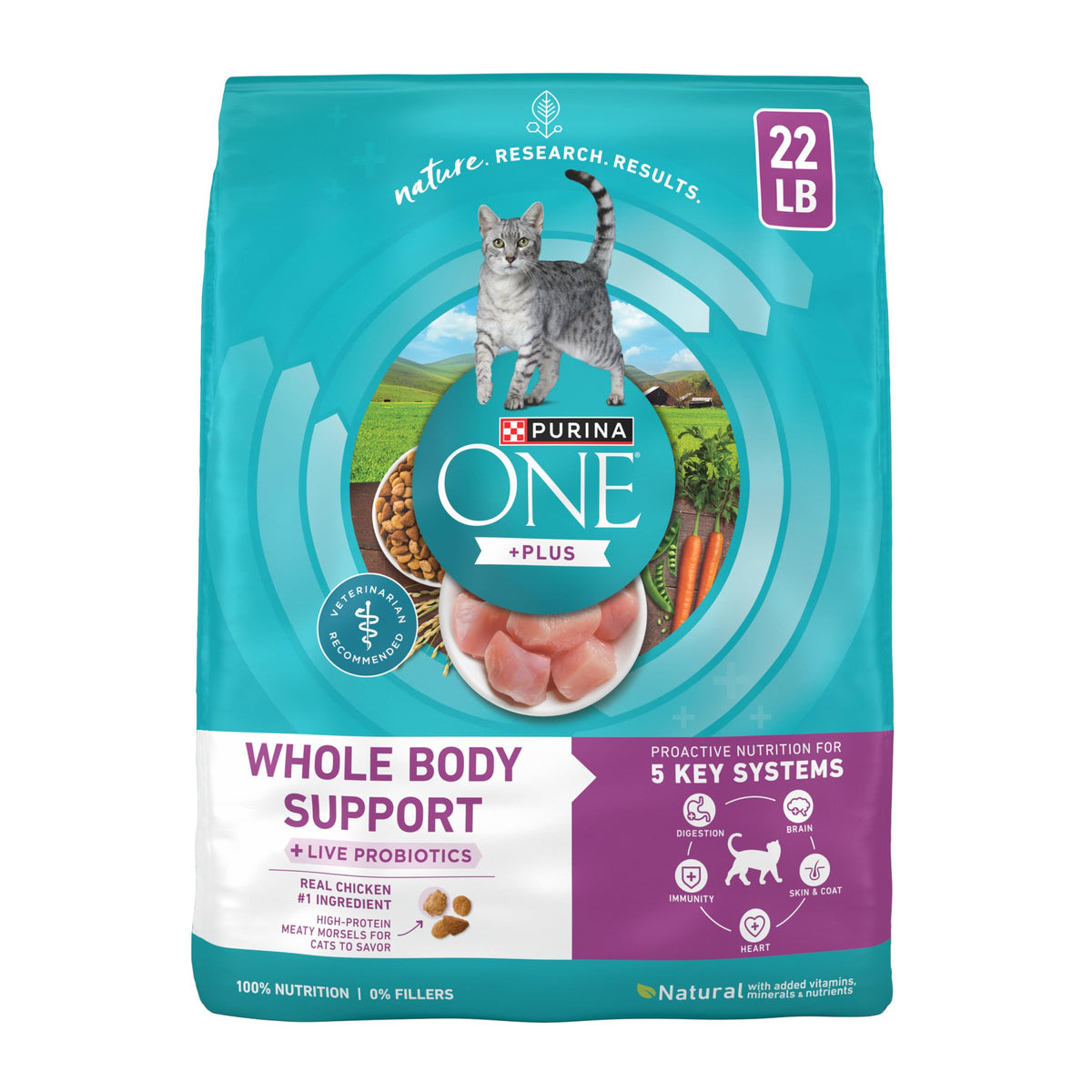 Dry Cat Food 22 lb. Bag Y4152