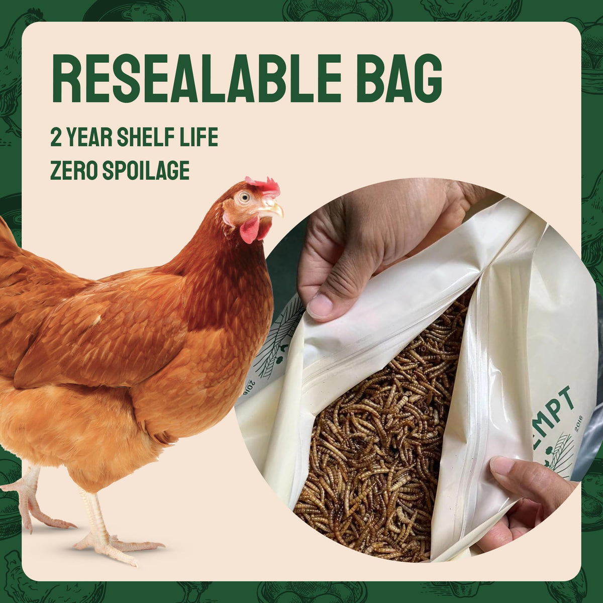 20lb Dried Mealworms Chicken Feed T886431