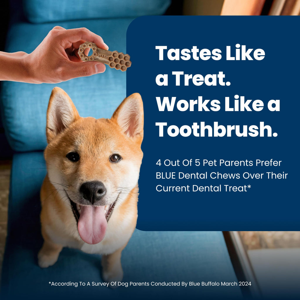 Chicken & Spearmint Small Dental Chews, 11.3 oz, 28 ct Y536508
