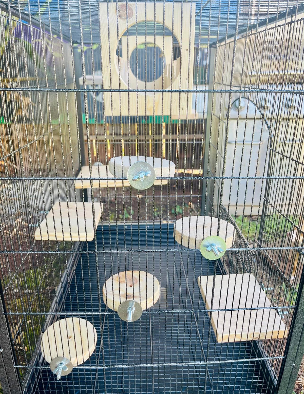 10 Piece Pine Pet Steps and Ledges O665