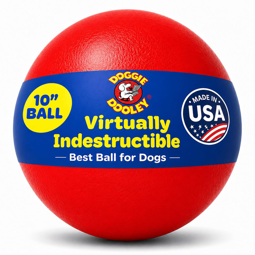 Red 10 Inch Dog Ball X163