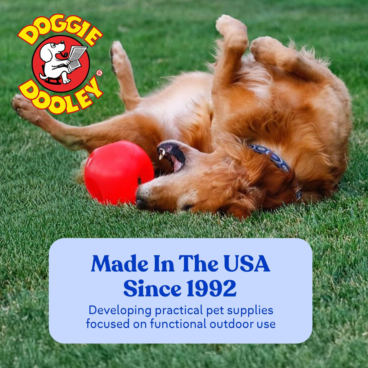 Red 10 Inch Dog Ball X163