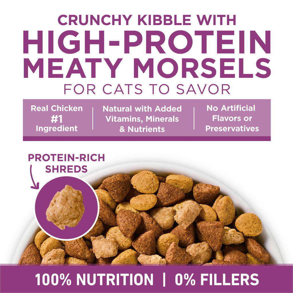 Dry Cat Food 22 lb. Bag Y4152