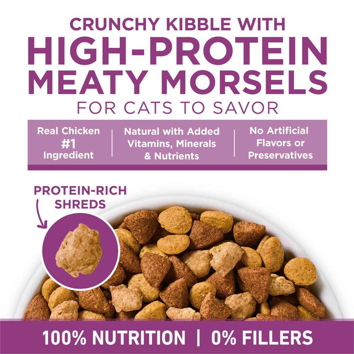 Dry Cat Food 22 lb. Bag Y4152
