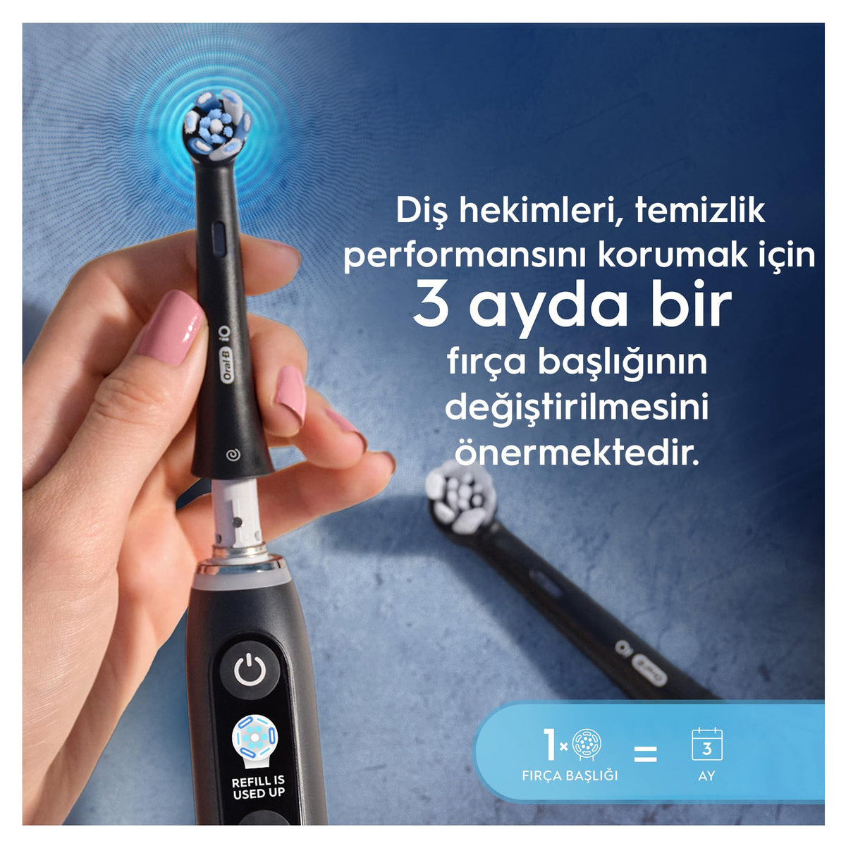 Black Replacement Toothbrush Heads W365459