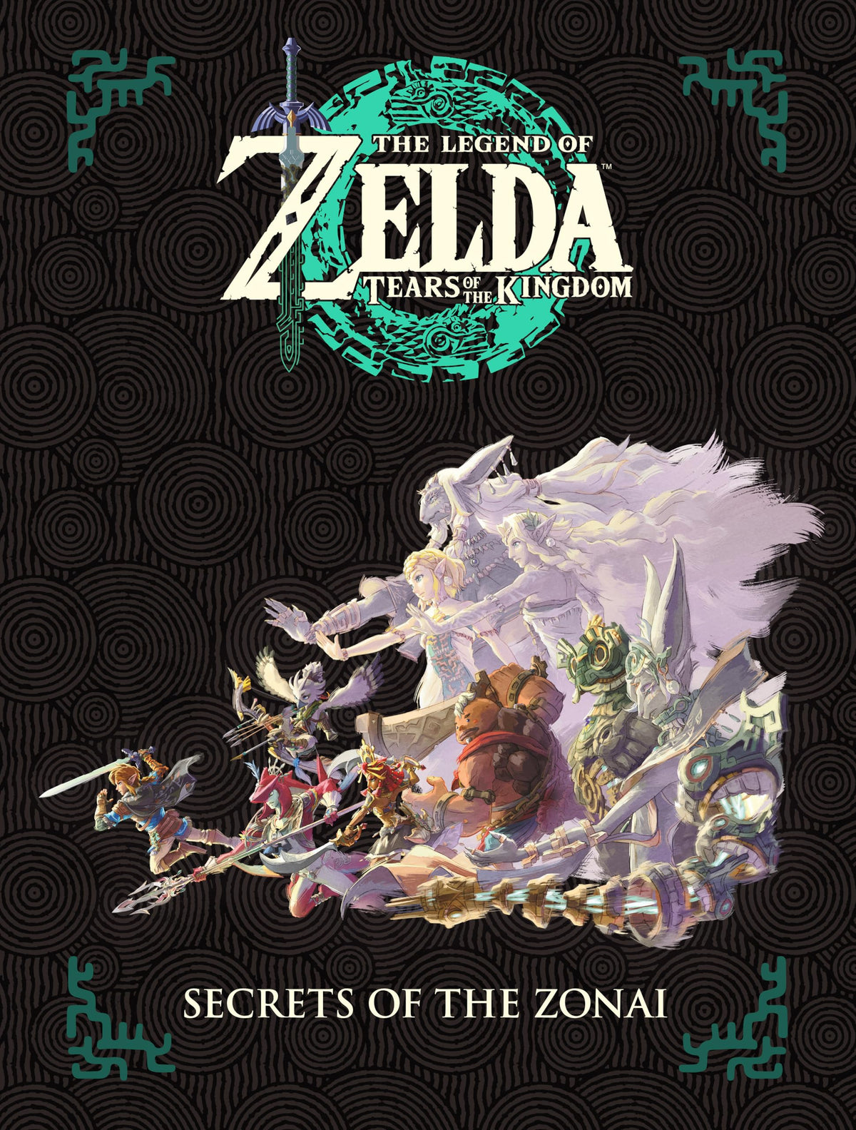 Zelda Tears of the Kingdom S582