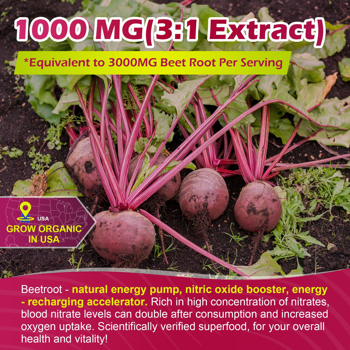 Beet Root Gummies with L-Citrulline & L-Arginine, Sugar Free G63326