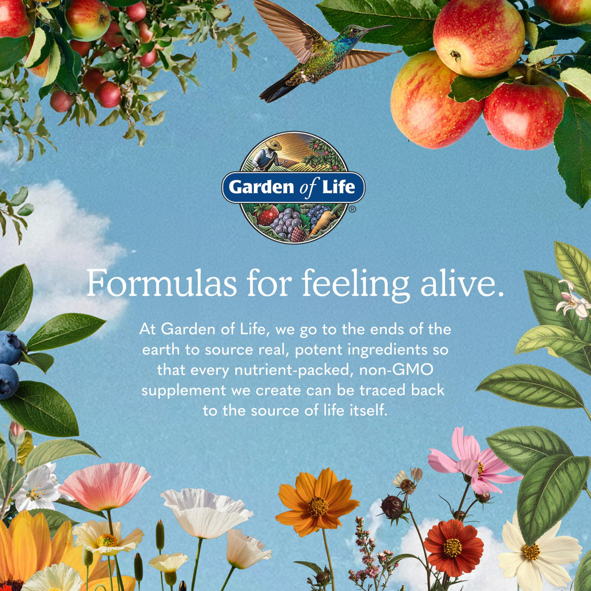 Omega 3 Fish Oil, 60 Softgels U549
